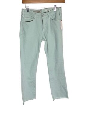Anthropologie Pilcro The Script Pants In Mint Size 25 NWT
